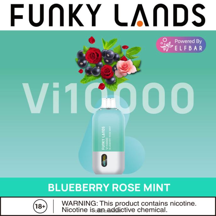 ELFBAR funky lands jednokratni vape vi10000 dimova PDF2J465 - ELF BAR Hrvatska borovnica ruža menta